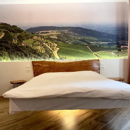 住宿加早餐酒店 Ancor